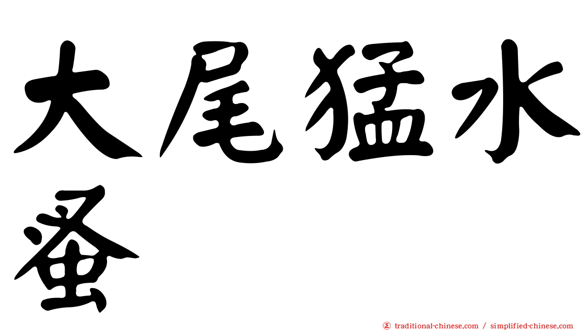 大尾猛水蚤