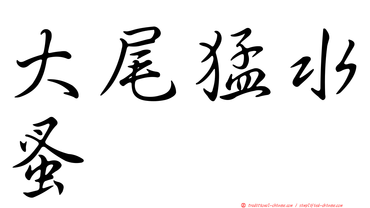 大尾猛水蚤