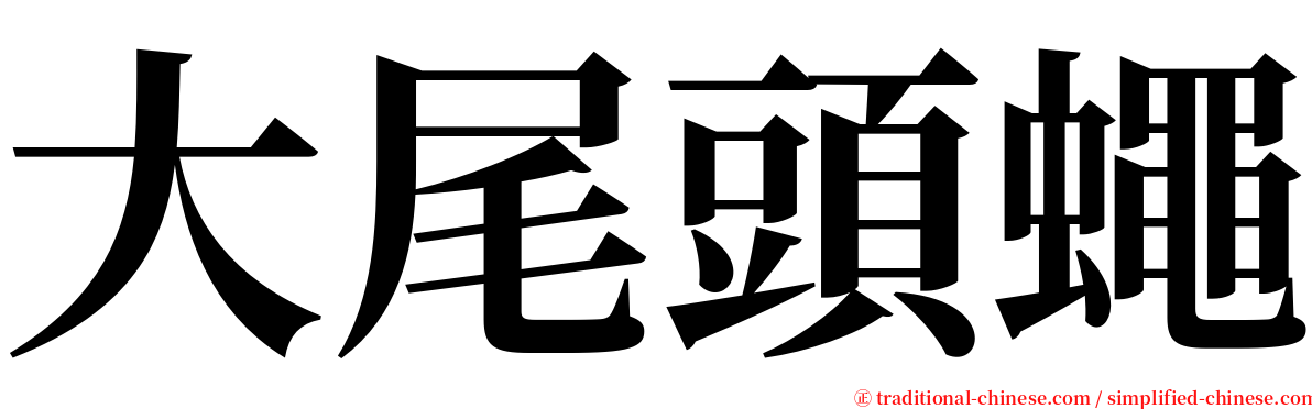 大尾頭蠅 serif font
