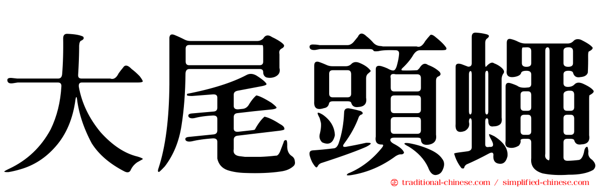大尾頭蠅