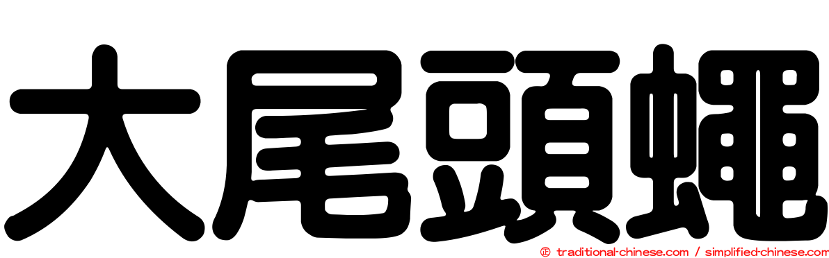 大尾頭蠅