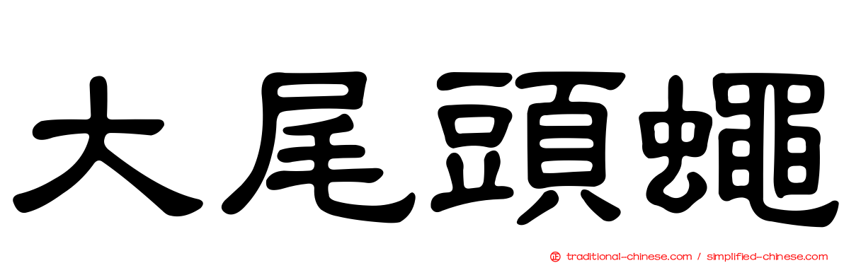 大尾頭蠅