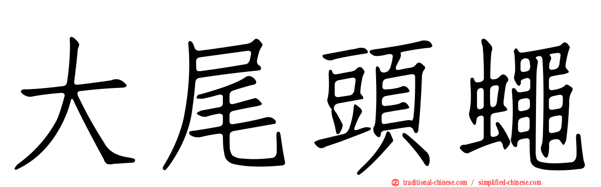 大尾頭蠅