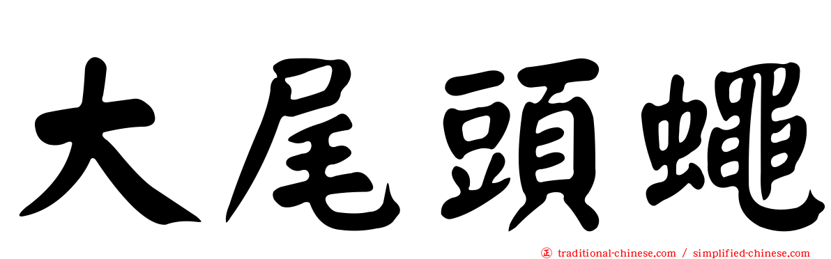 大尾頭蠅