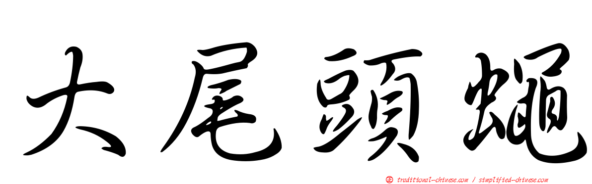 大尾頭蠅