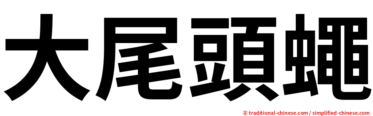 大尾頭蠅