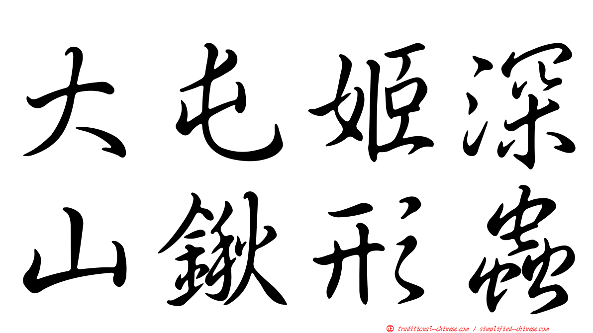 大屯姬深山鍬形蟲