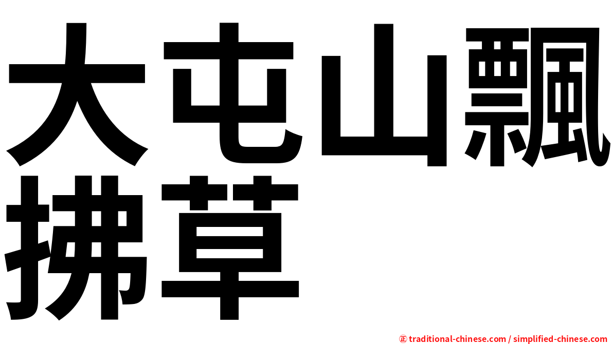 大屯山飄拂草