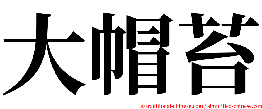 大帽苔 serif font