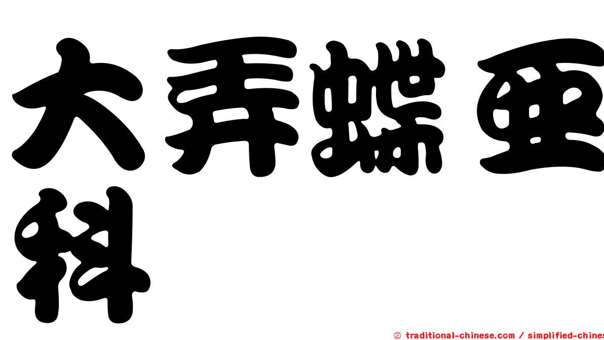 大弄蝶亞科
