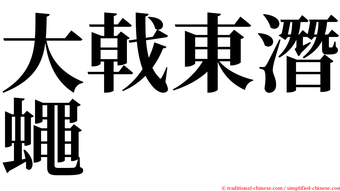 大戟東潛蠅 serif font