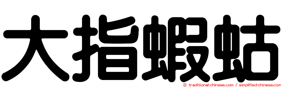 大指蝦蛄