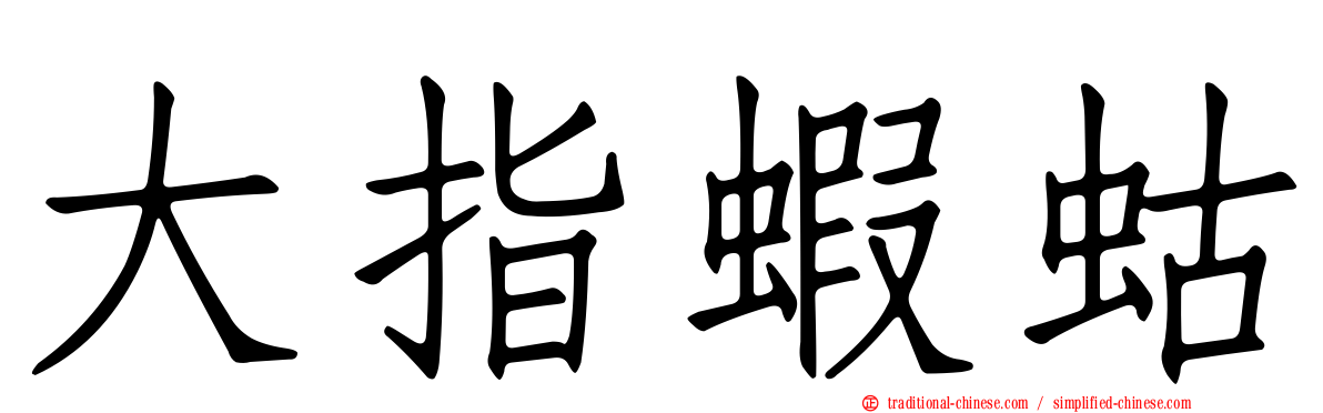 大指蝦蛄