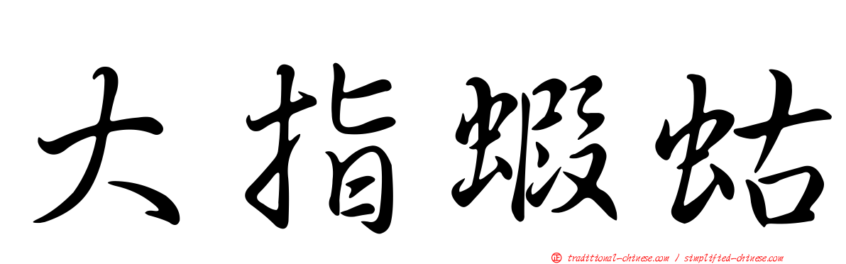 大指蝦蛄