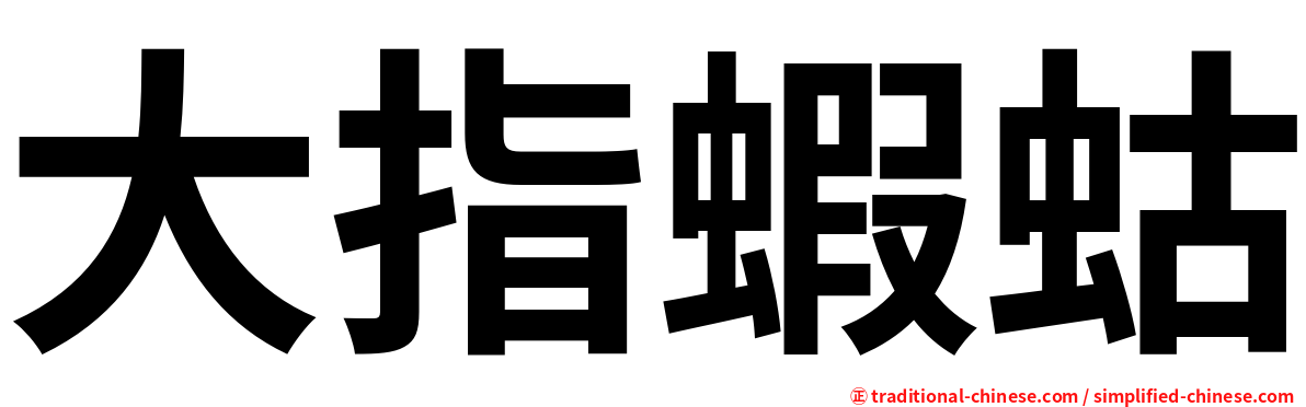 大指蝦蛄