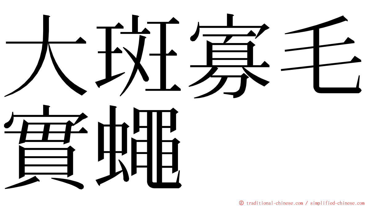 大斑寡毛實蠅 ming font