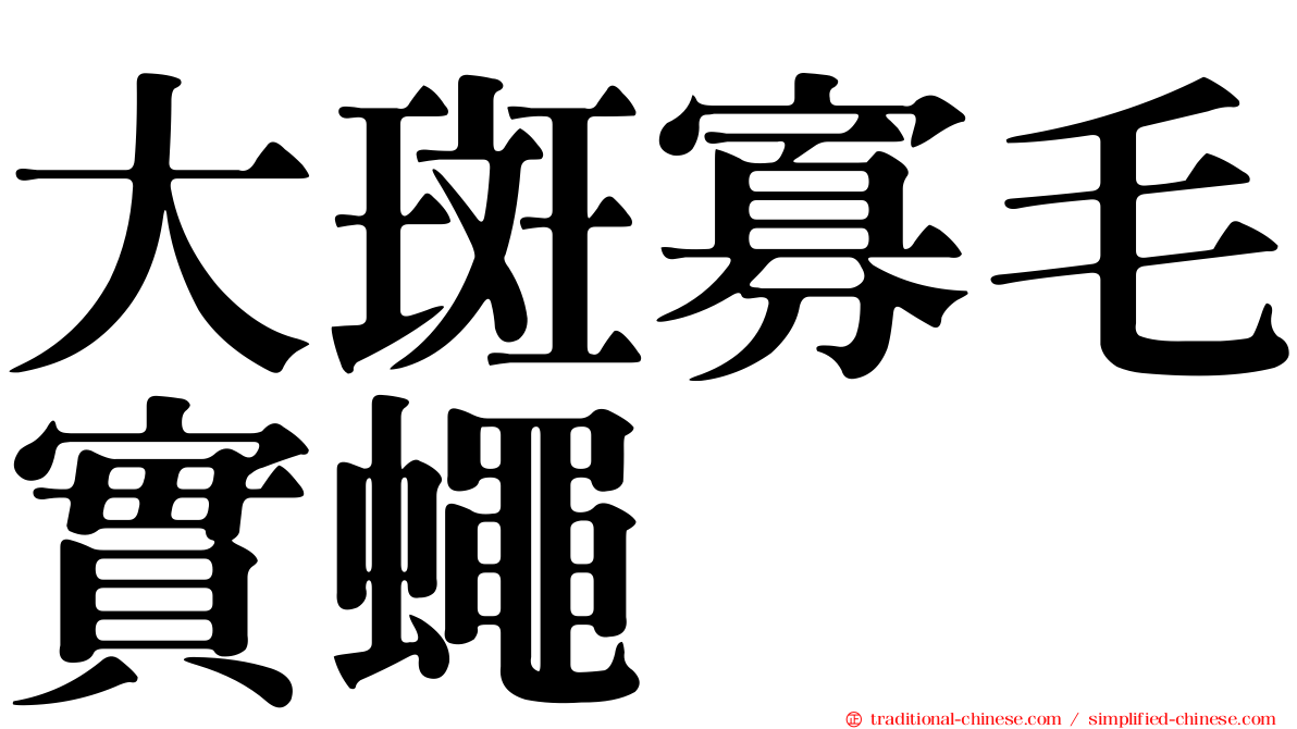 大斑寡毛實蠅