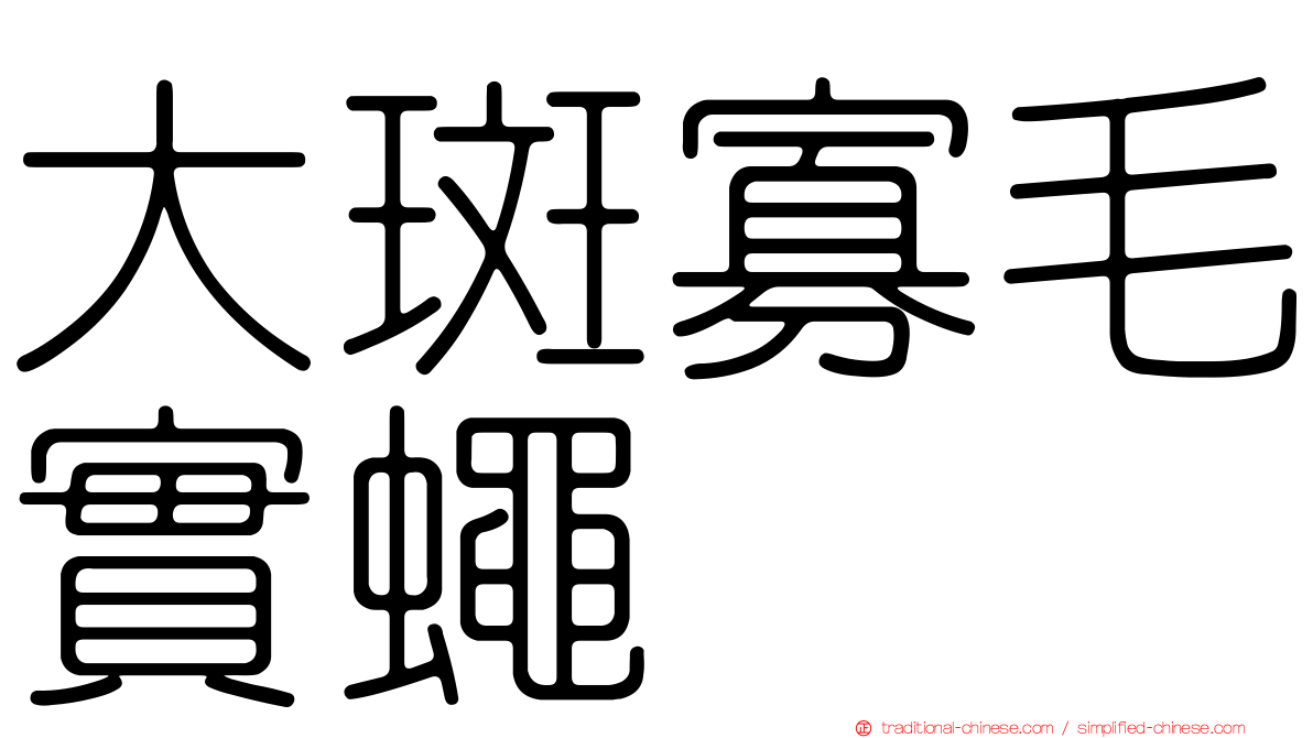 大斑寡毛實蠅