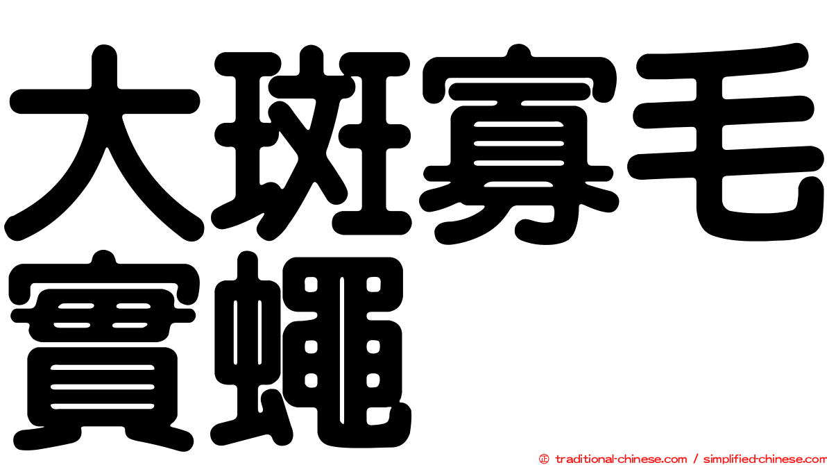 大斑寡毛實蠅