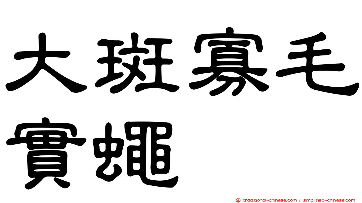 大斑寡毛實蠅