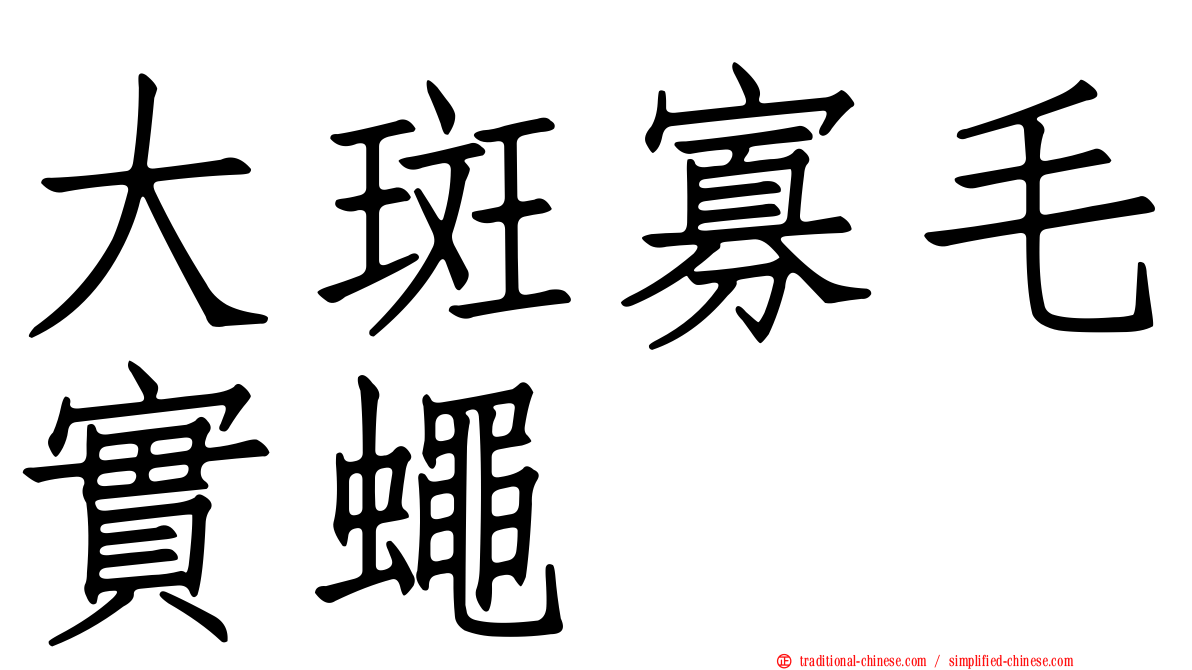 大斑寡毛實蠅