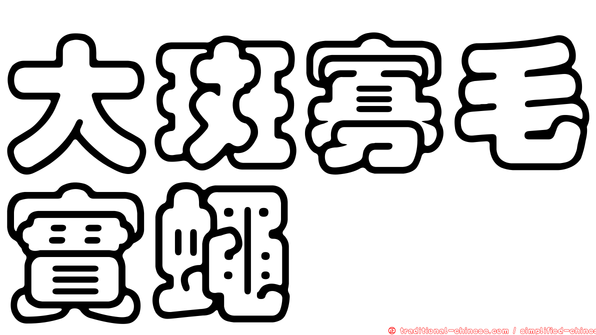 大斑寡毛實蠅
