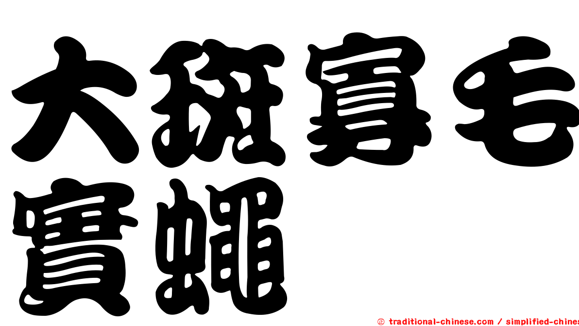 大斑寡毛實蠅