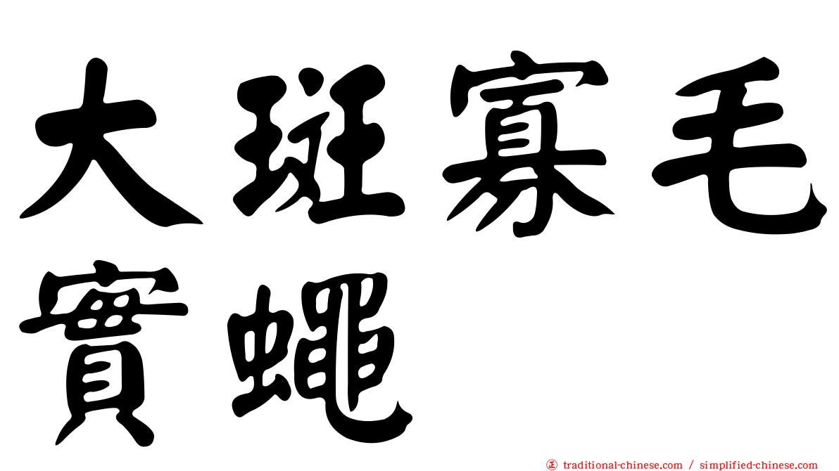 大斑寡毛實蠅