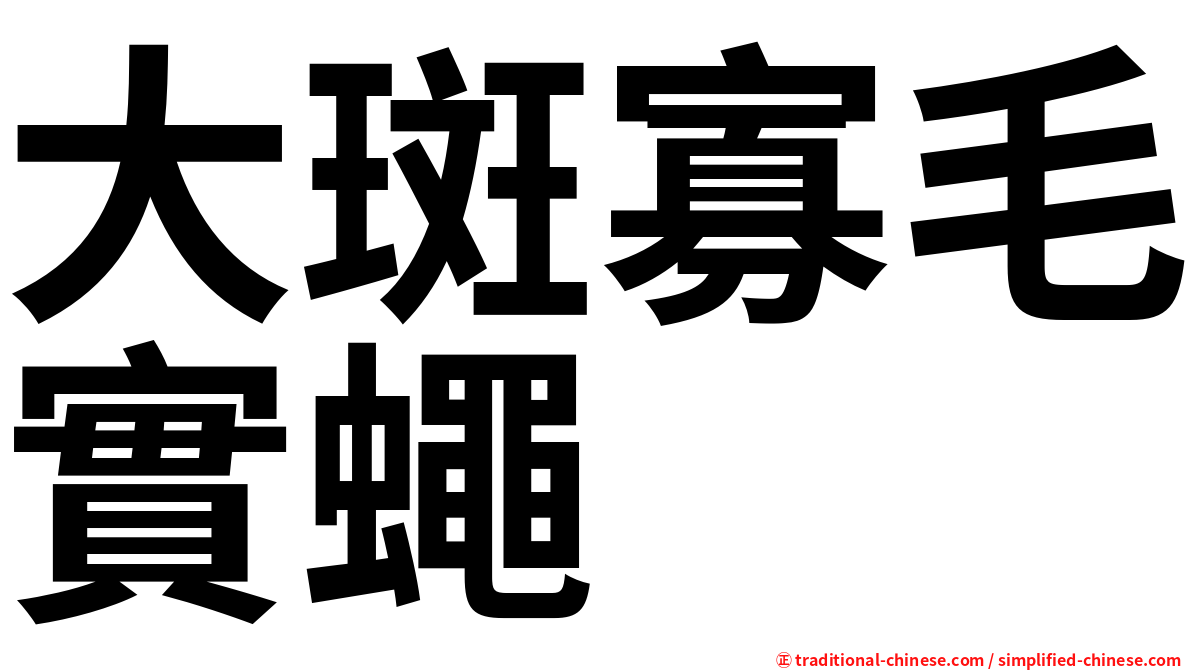 大斑寡毛實蠅