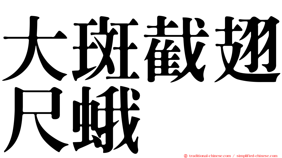 大斑截翅尺蛾