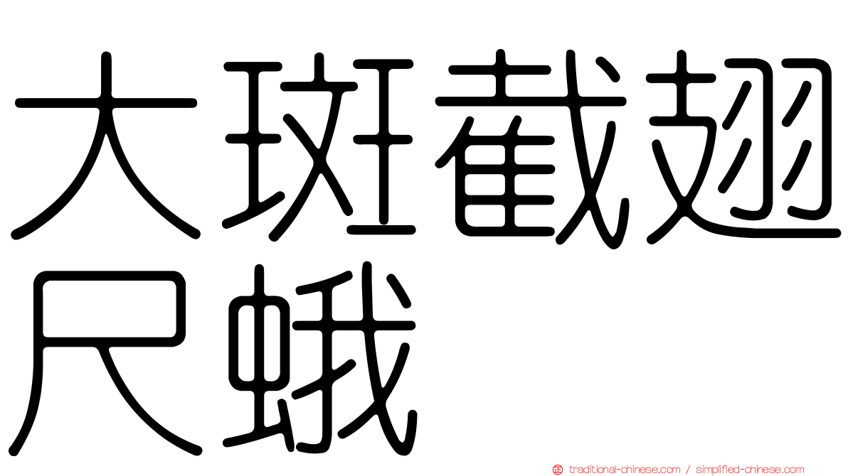 大斑截翅尺蛾