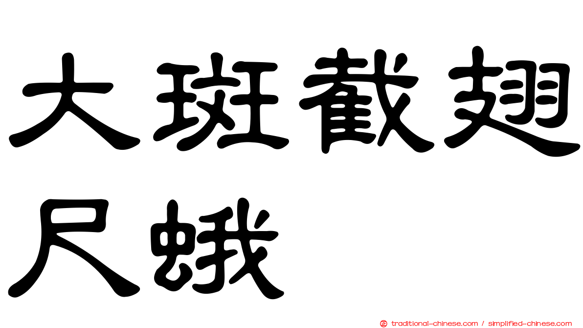 大斑截翅尺蛾