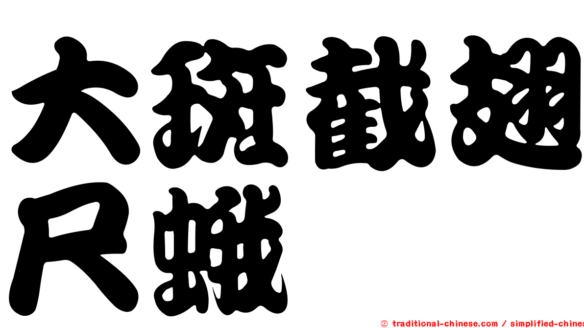 大斑截翅尺蛾