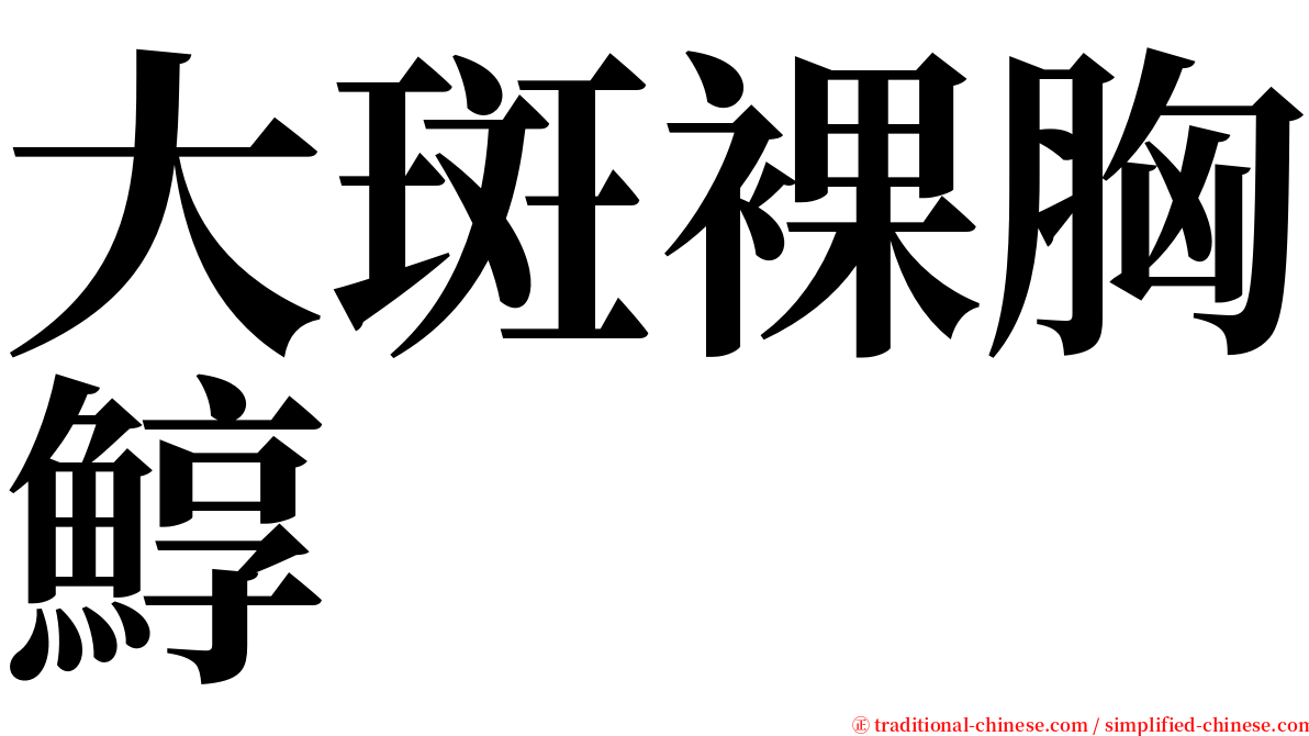 大斑裸胸鯙 serif font