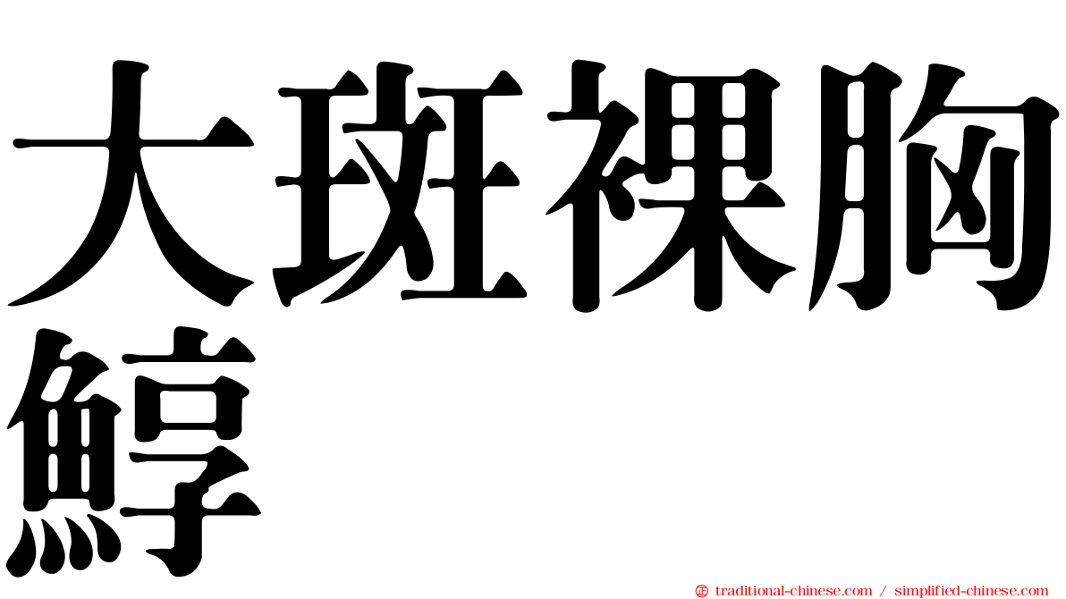 大斑裸胸鯙