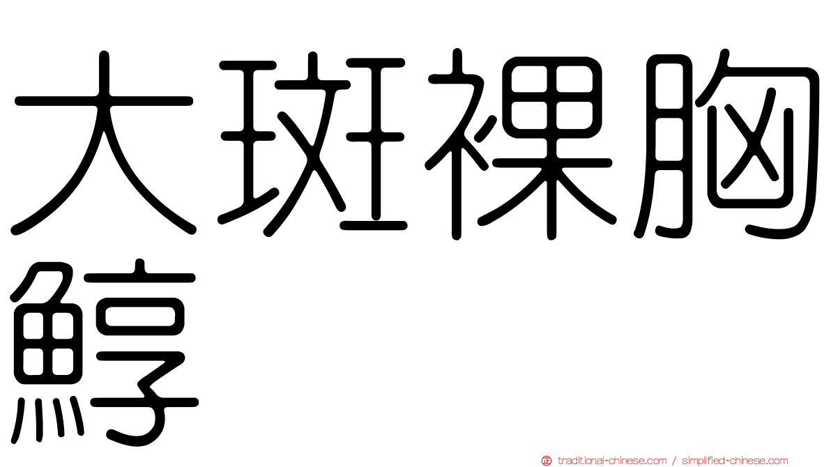 大斑裸胸鯙