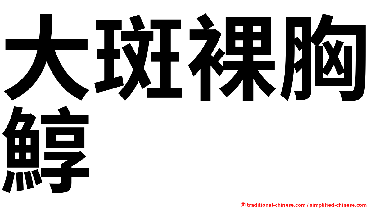 大斑裸胸鯙