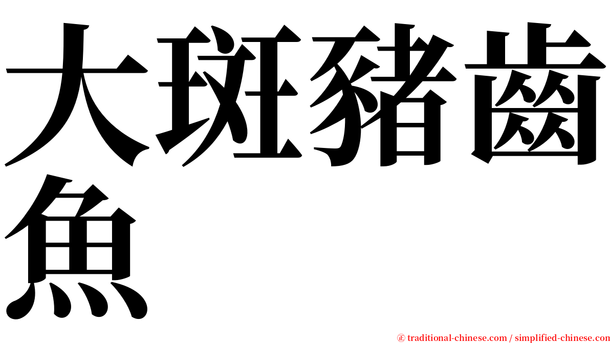 大斑豬齒魚 serif font