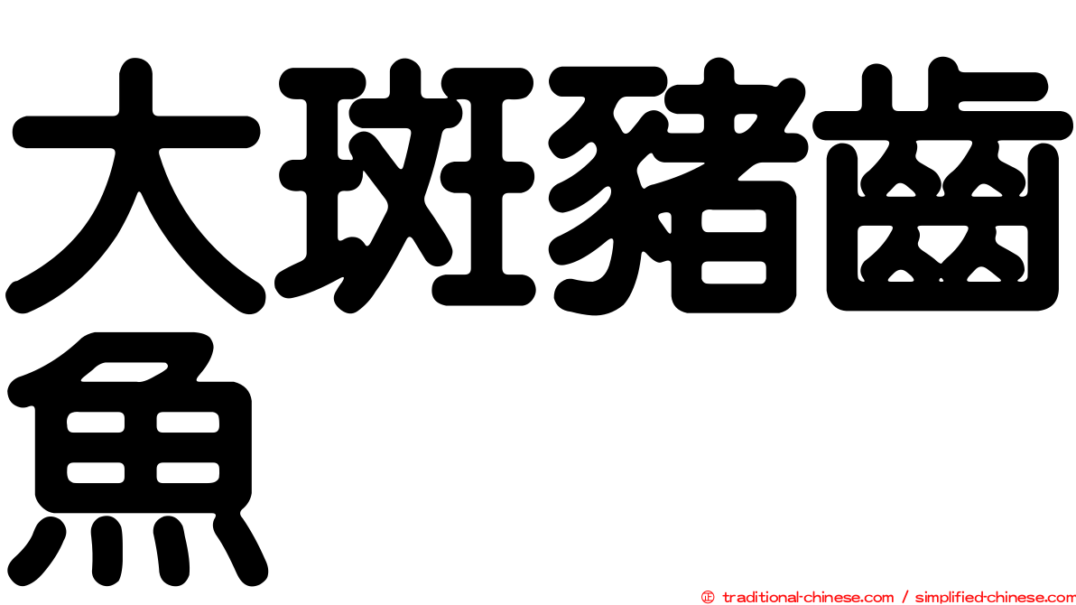 大斑豬齒魚
