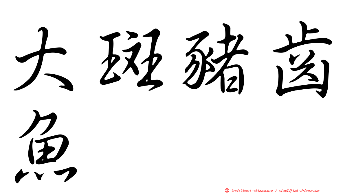 大斑豬齒魚