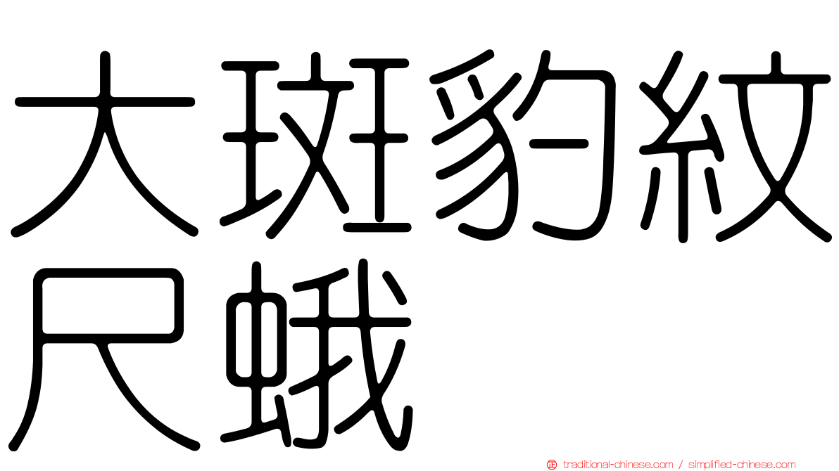 大斑豹紋尺蛾