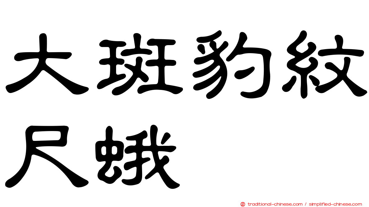 大斑豹紋尺蛾
