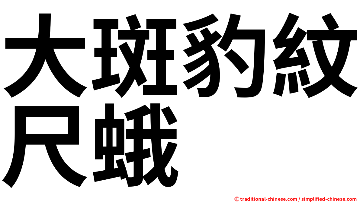 大斑豹紋尺蛾