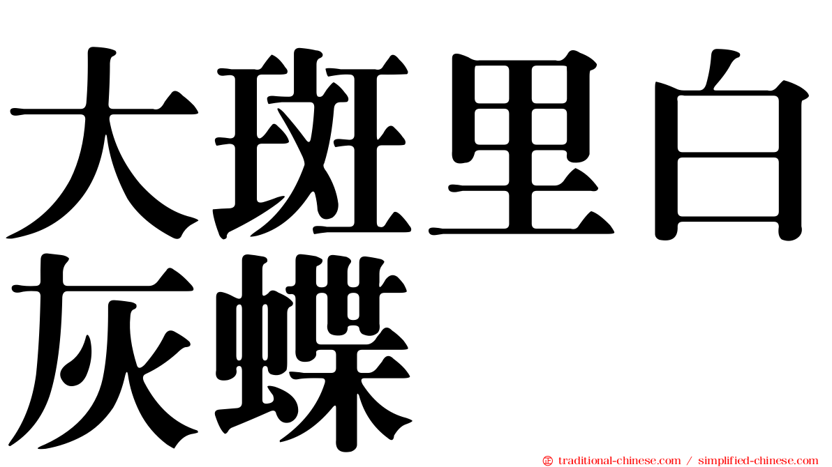 大斑里白灰蝶