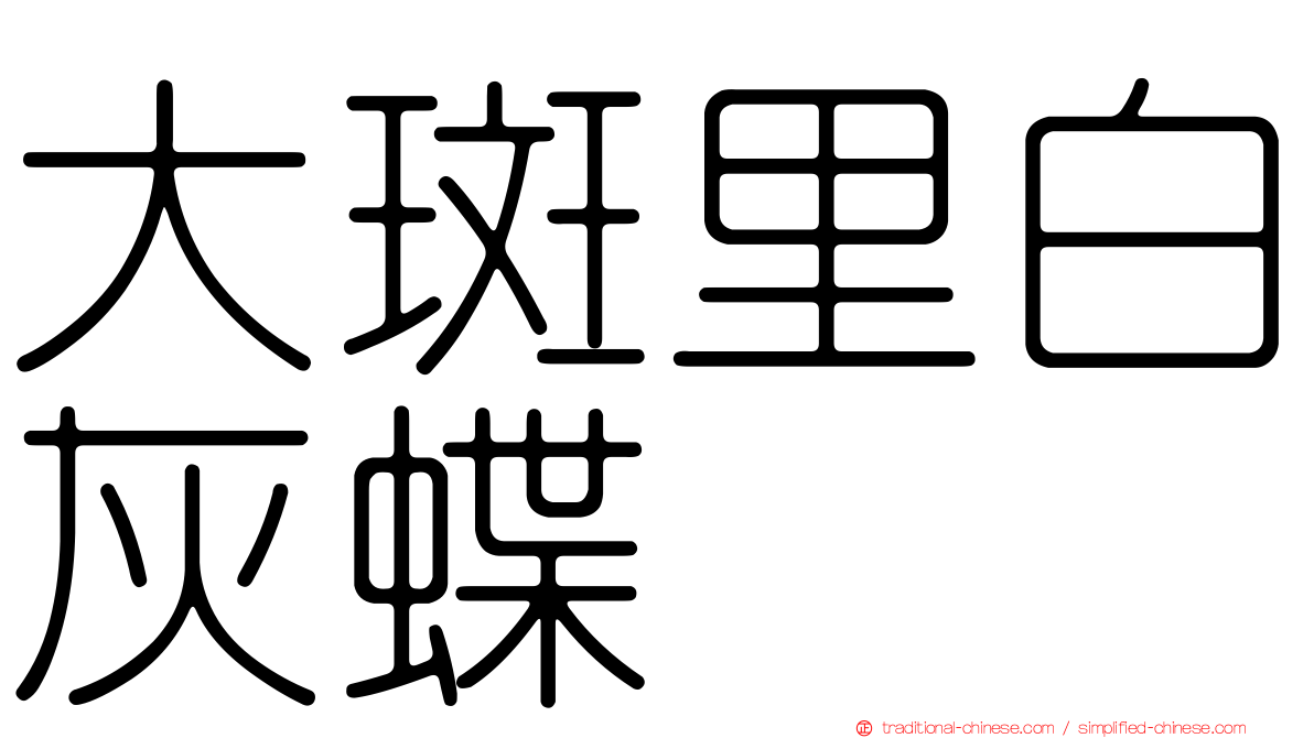 大斑里白灰蝶