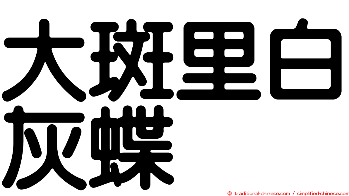 大斑里白灰蝶