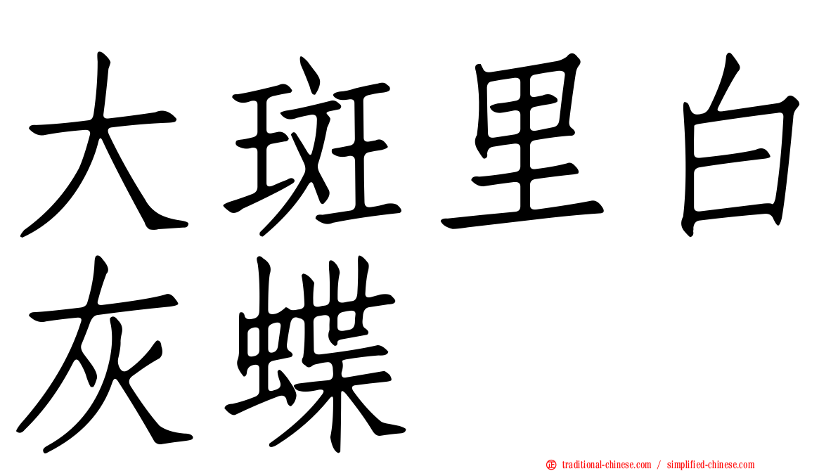 大斑里白灰蝶