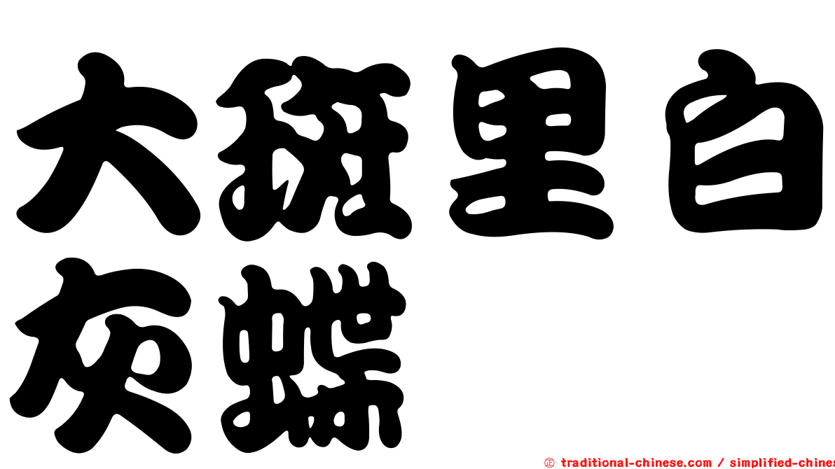 大斑里白灰蝶