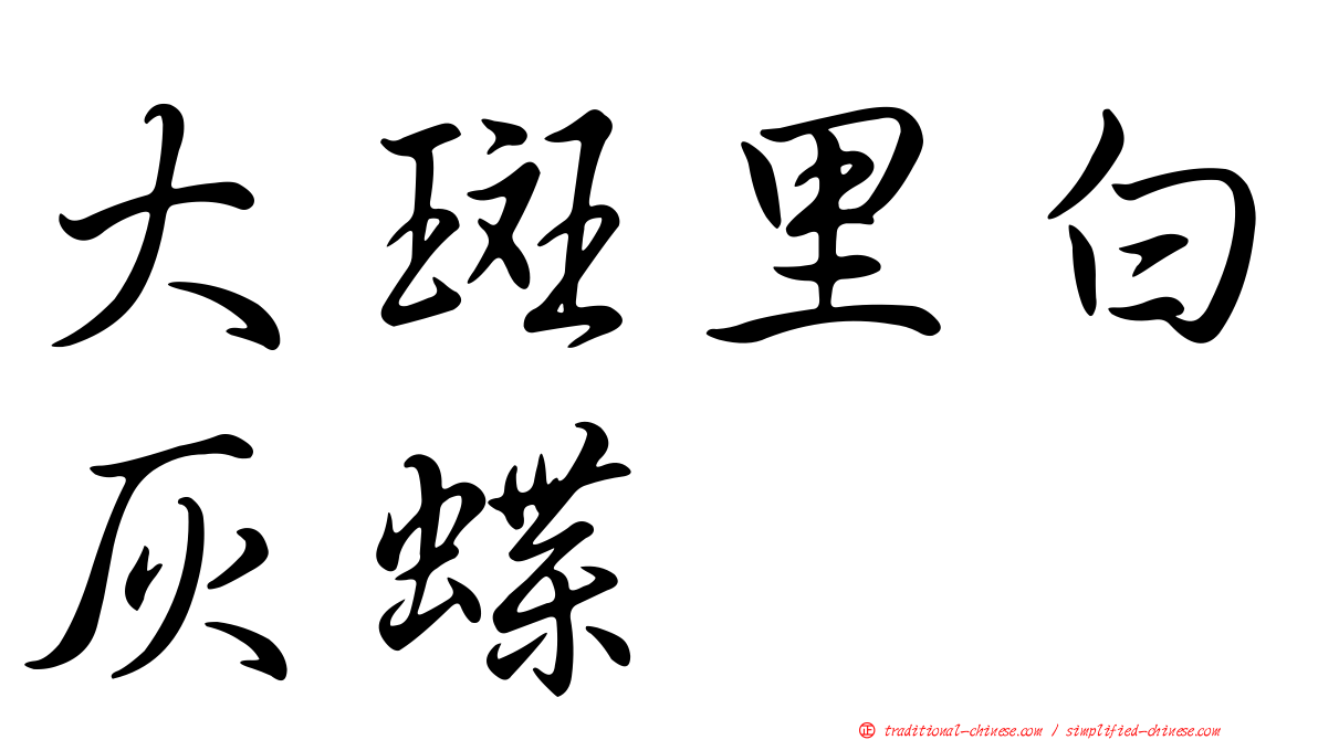大斑里白灰蝶