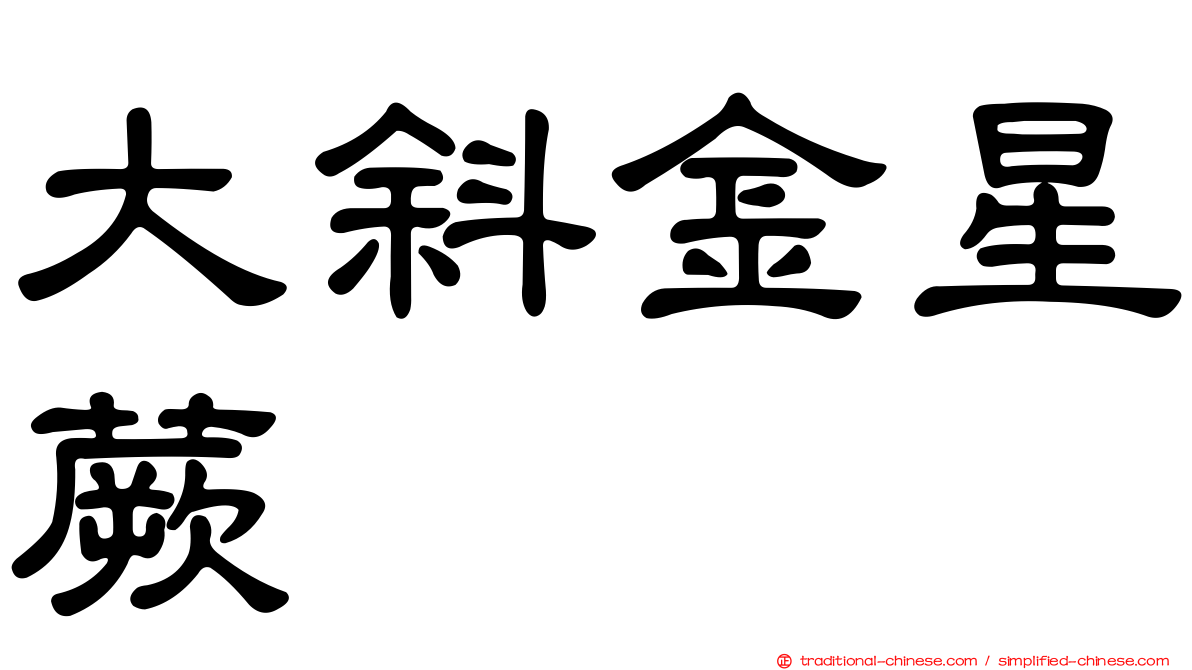 大斜金星蕨